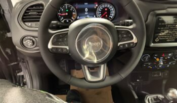 Jeep Renegade 1.6 mjt Limited 2wd 130cv pieno