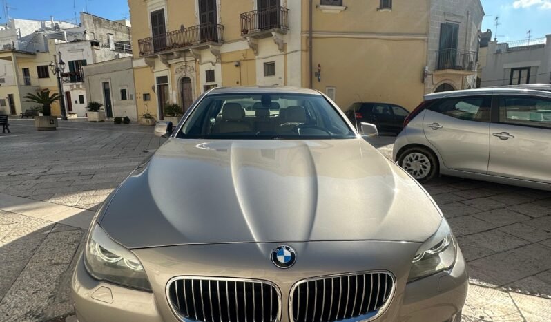 BMW Serie 5 520d Efficient Dynamics 184 cv Futura pieno