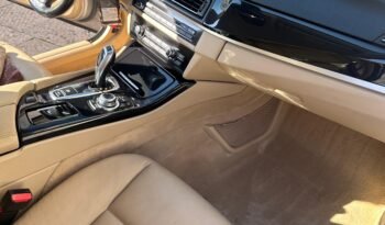 BMW Serie 5 520d Efficient Dynamics 184 cv Futura pieno