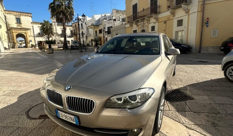 BMW Serie 5 520d Efficient Dynamics 184 cv Futura pieno