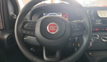Fiat Panda 1.0 hybrid Icon 70 cv pieno