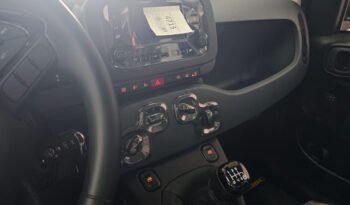 Fiat Panda 1.0 hybrid Icon 70 cv pieno