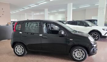 Fiat Panda 1.0 hybrid Icon 70 cv pieno