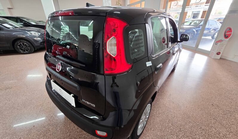 Fiat Panda 1.0 hybrid Icon 70 cv pieno