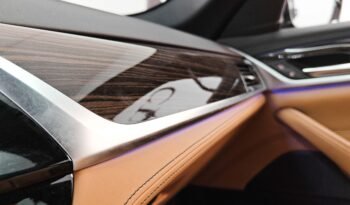 BMW Serie 5 530i xDrive 252 cv Luxury Individual auto pieno