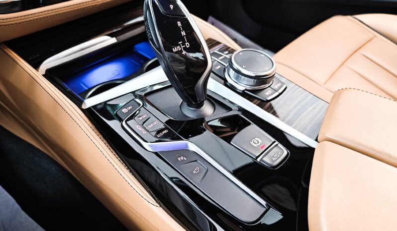 BMW Serie 5 530i xDrive 252 cv Luxury Individual auto pieno