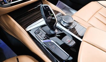 BMW Serie 5 530i xDrive 252 cv Luxury Individual auto pieno