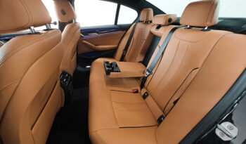 BMW Serie 5 530i xDrive 252 cv Luxury Individual auto pieno